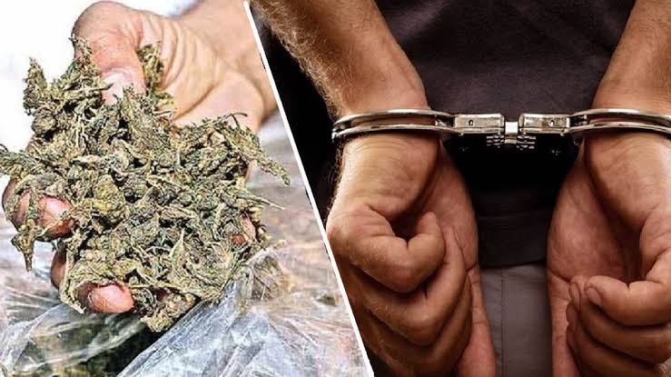 विशेष चेकिंग अभियान में 9 आरोपी गिरफ्तार, 3.572 किलो अवैध गांजा बरामद