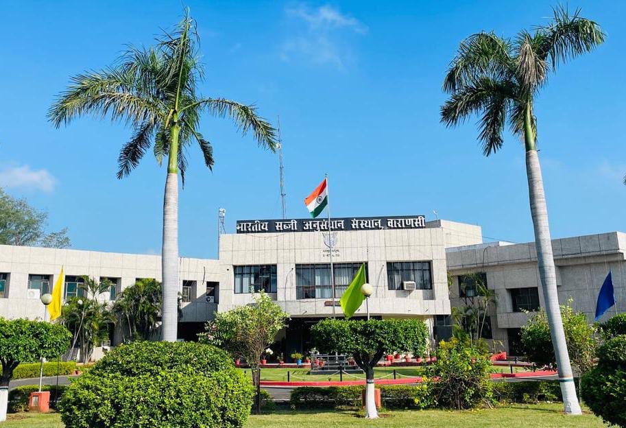 केंद्रीय कृषि मंत्री शिवराज सिंह चौहान कल वाराणसी स्थित भारतीय सब्जी अनुसंधान संस्थान में करेंगे वैज्ञानिकों संग समीक्षा बैठक